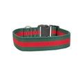 Green dog collar with bold red stripe, adjustable metal buckle and D-ring