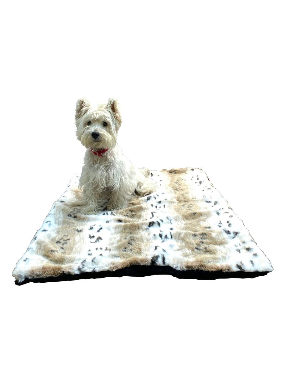 {{product_title}} - Cookies Wagging Friends Boutique