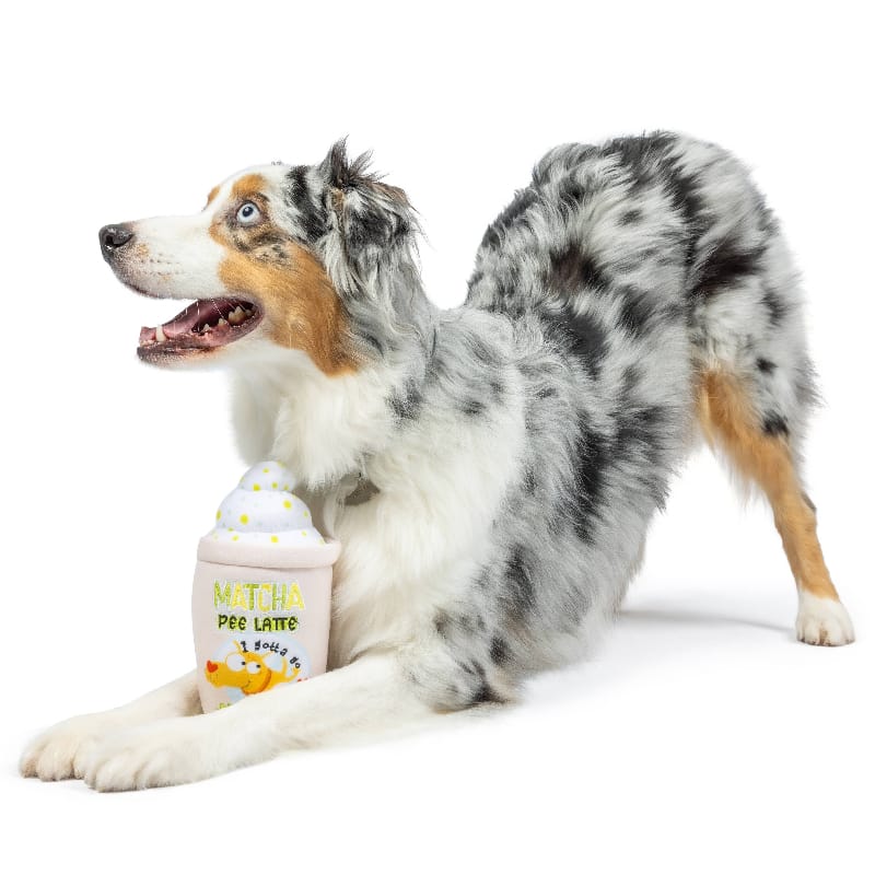 Plush squeaky dog toy shaped like a drink cup with lime dots, held by a merle dog