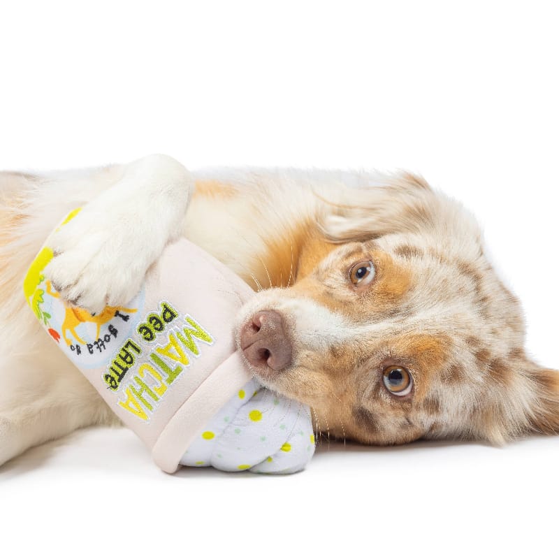 Plush squeaky dog toy in double-sided drink cup shape with yellow speckles, next to dog