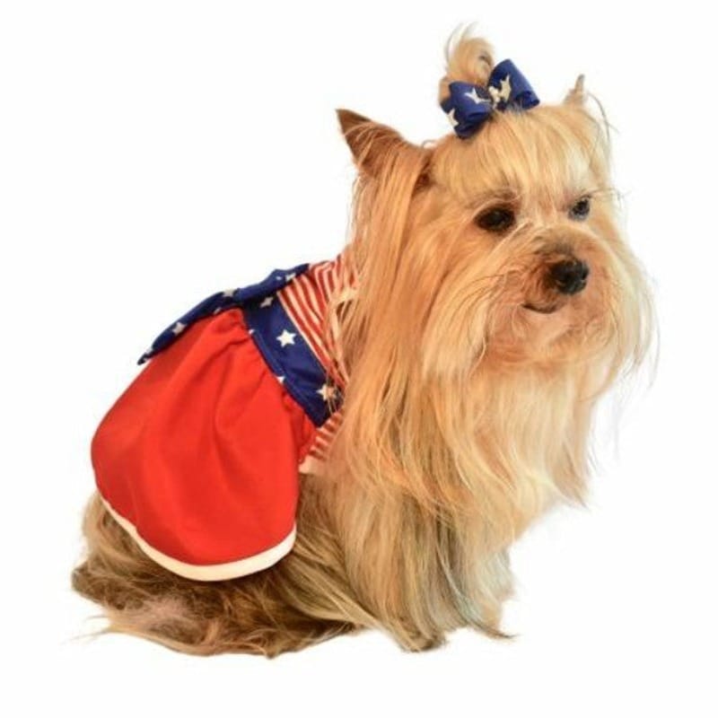 Americana flag pet dress, red skirt and blue star-and-stripe top with side bow detail