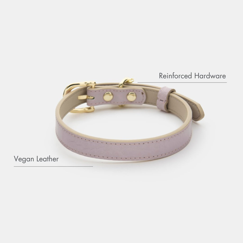 {{product_title}} - Cookies Wagging Friends Boutique