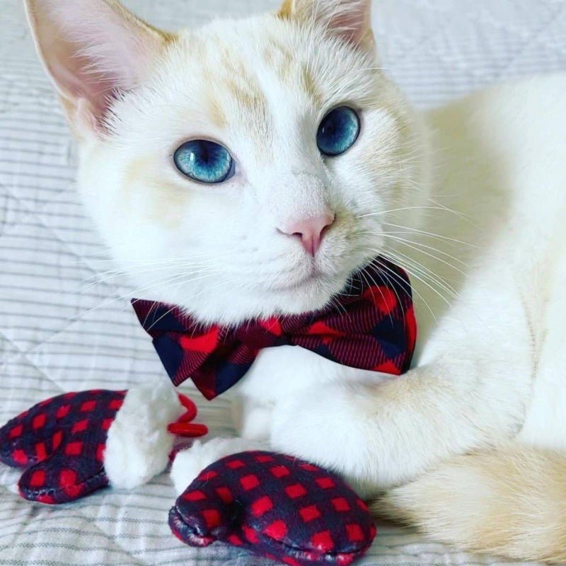 Mittens for Kittens! Christmas Holiday Winter Red Checkered Plush Cat Toy Fursace Luxury Dog Plush Toy - Red Squeaky | Cookies Wagging Friends Boutique Cookies Wagging Friends Boutique