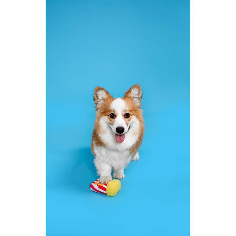 Plush dog toy with yellow top and red-and-white stripes, held by small dog