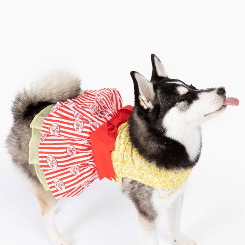 Dog wearing yellow popcorn-pattern dress with red bow sash and red-and-white striped skirt