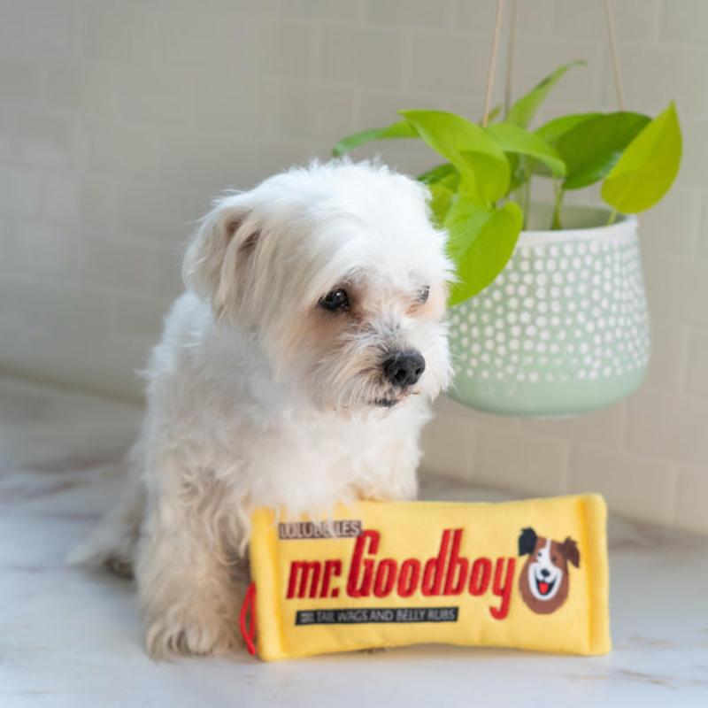 Small yellow plush bone dog toy with face logo, held by a dog