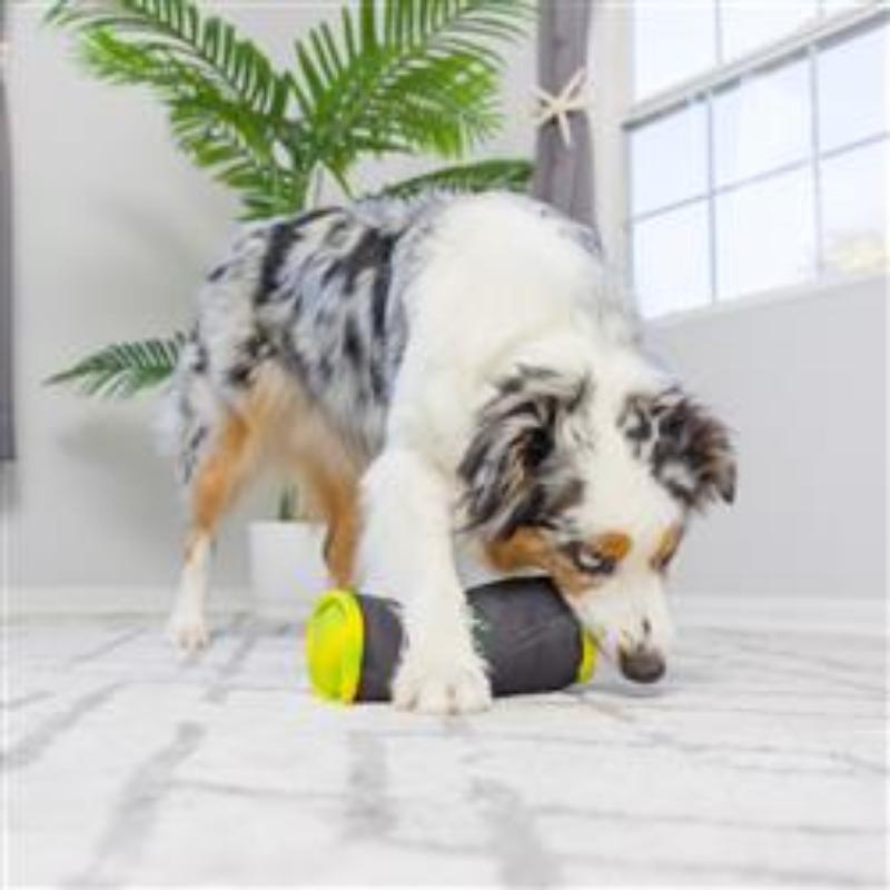 Plush dog toy cylinder, black with bright yellow ball end, being nudged on floor.