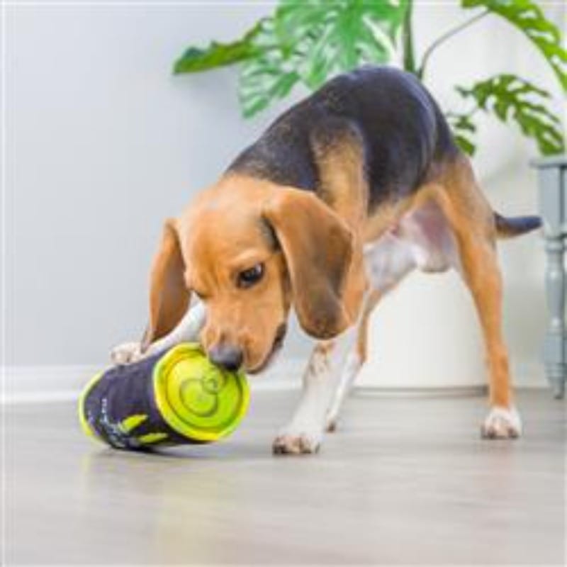 Plush dog toy cylinder, black with yellow-green ball end, lying near a dog's paws.