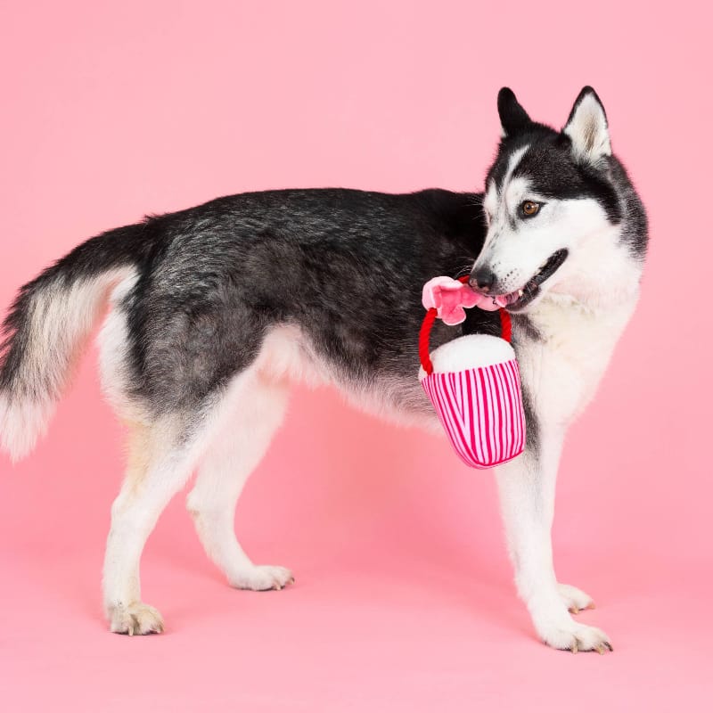 Dog carrying pink plush squeaky butter-cup toy with bunny ears and red rope handle