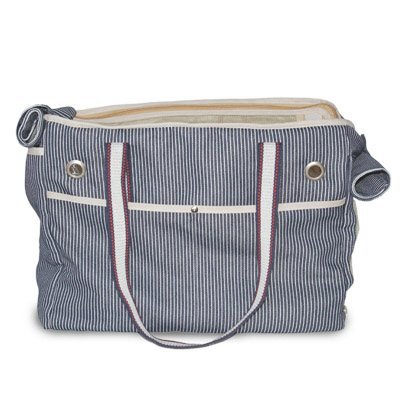 Blue striped canvas tote with red-trim handles, front flap pocket, and grommet details