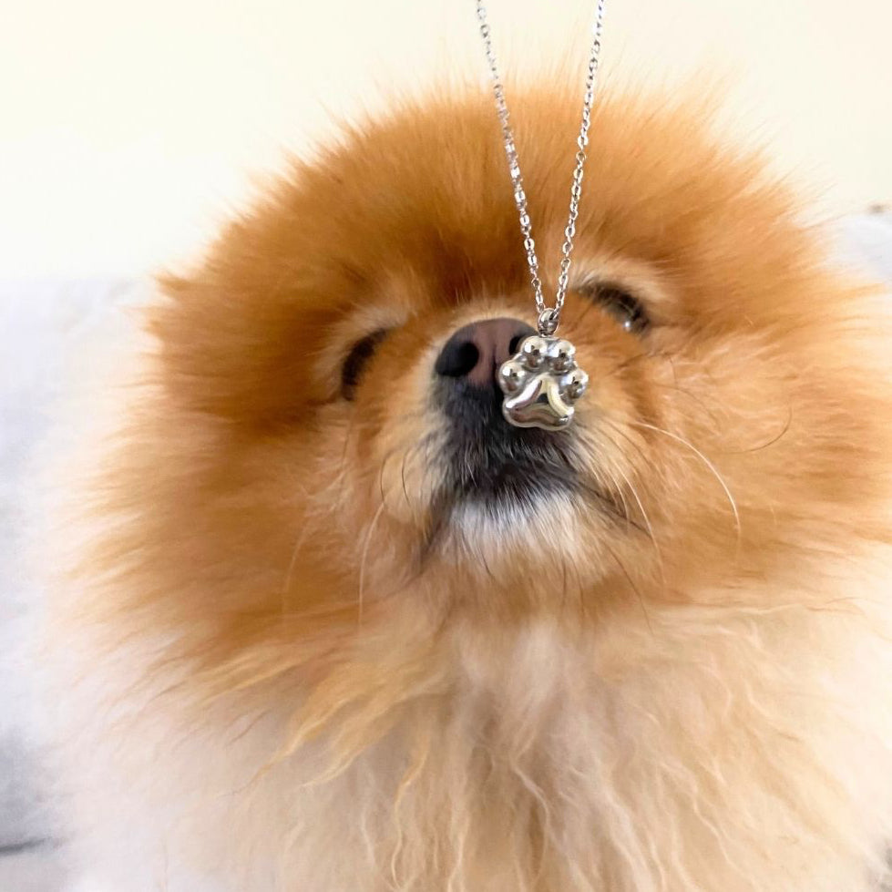 {{product_title}} - Cookies Wagging Friends Boutique