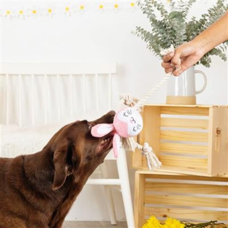 Brown dog reaching for pink plush rabbit dog toy with rope legs held up