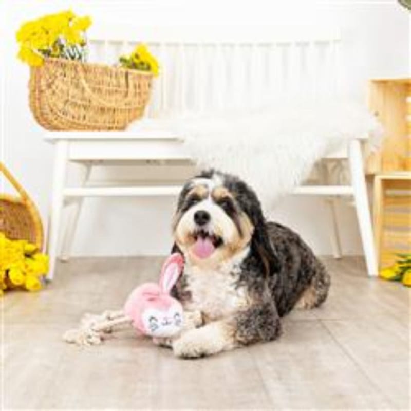 Shaggy dog playing with pink plush rabbit squeak dog toy with rope legs