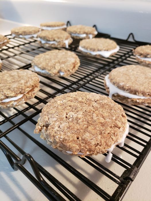 🐾 Oatmeal Organic Cream Pie Dog Treats – Gluten Free Fursace Luxury Dog Plush Toy - Red Squeaky | Cookies Wagging Friends Boutique Cookies Wagging Friends Boutique