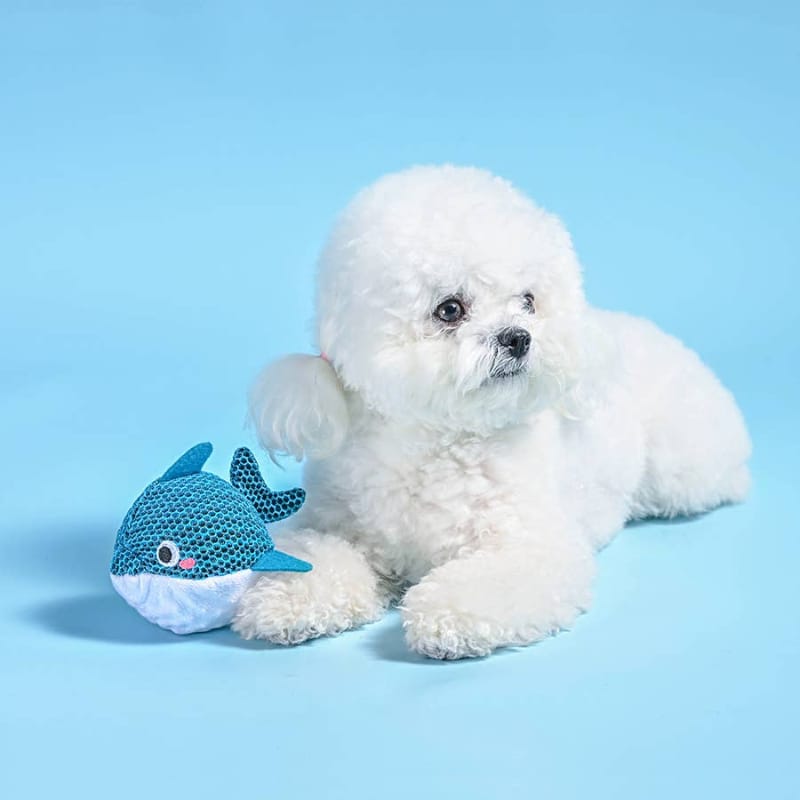 Dolphin ball dog toy next to a white plush dog; teal dolphin shape with stitched eyes
