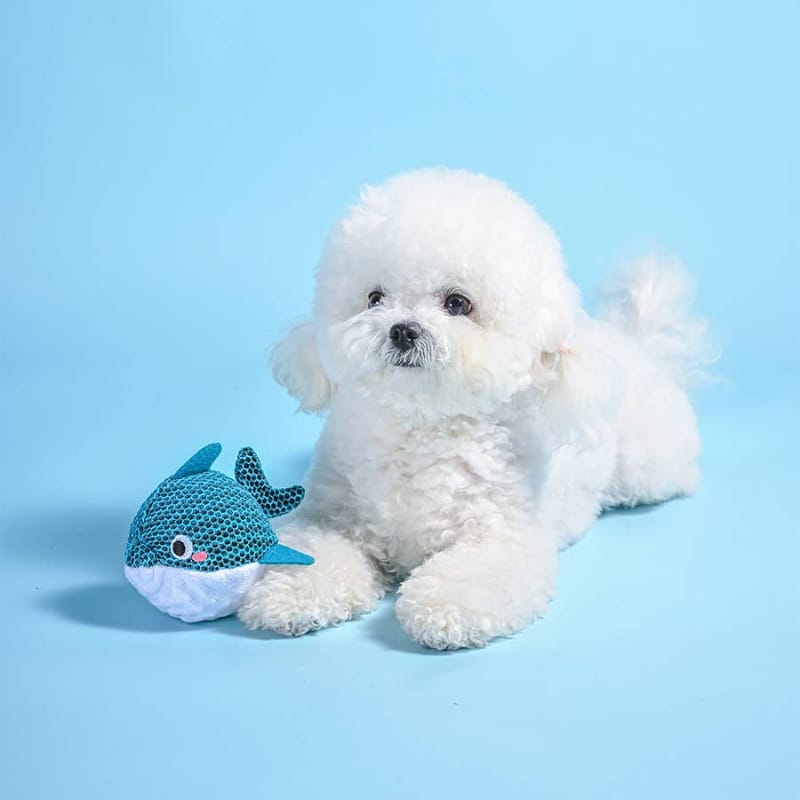 Dolphin ball dog toy next to a white plush dog; teal scales and stitched facial details
