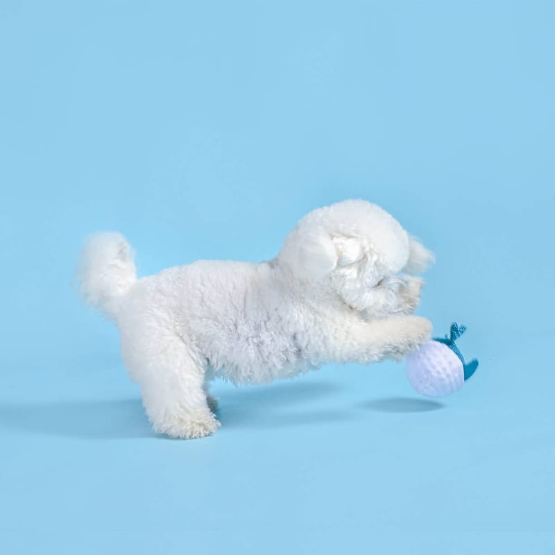 Dolphin ball dog toy in the mouth of a white plush dog; teal dolphin tail visible