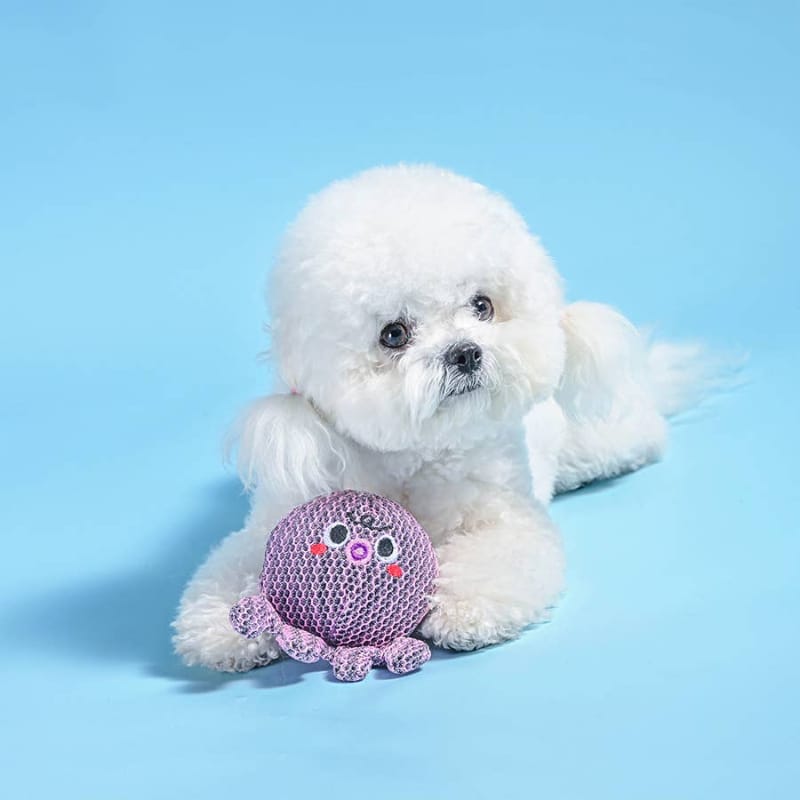 Purple octopus ball dog toy near small white dog
