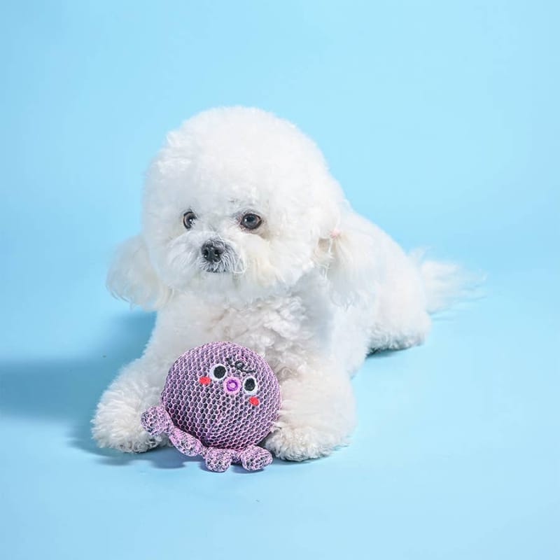 Purple octopus ball dog toy held by small white dog