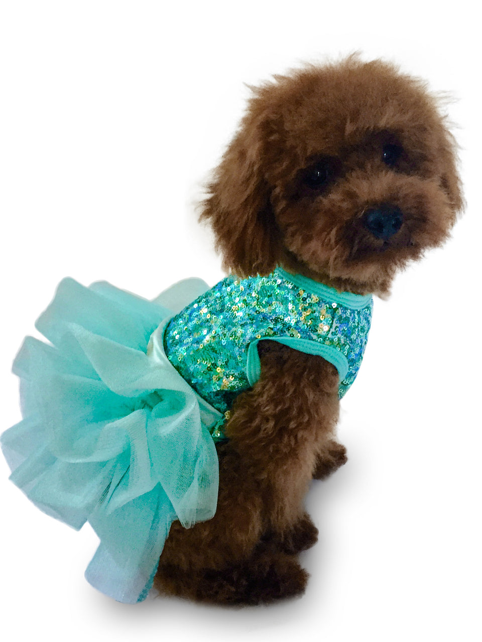 {{product_title}} - Cookies Wagging Friends Boutique
