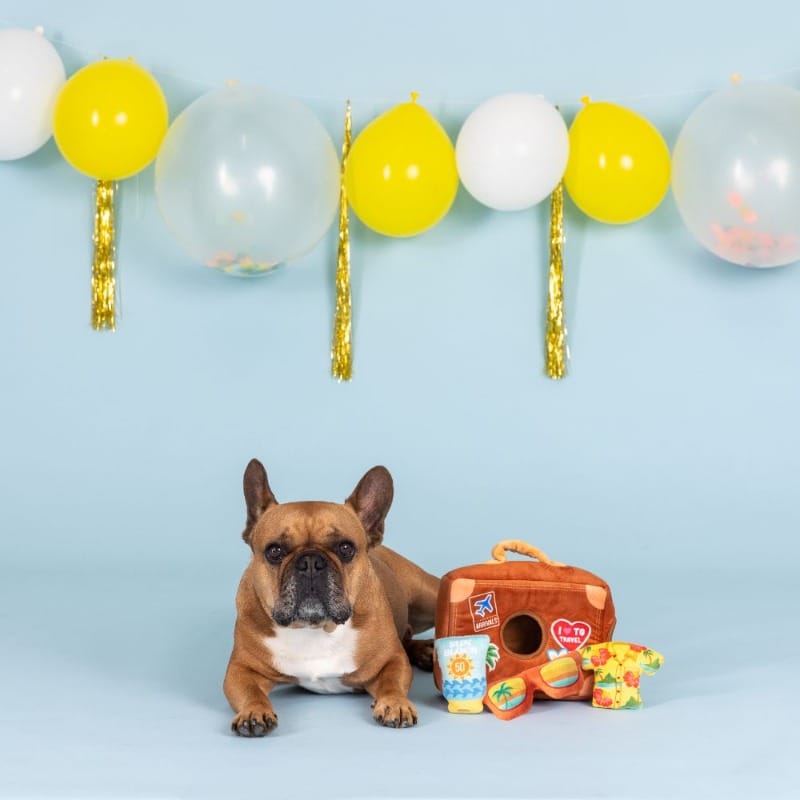 Dog toy set with plush hide-and-seek bag and colorful accessories, shown with a seated dog