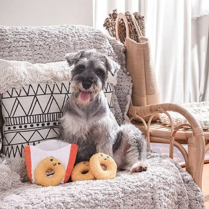 Interactive Onion King plush set: tan ring toys and small cube pouch beside a gray dog