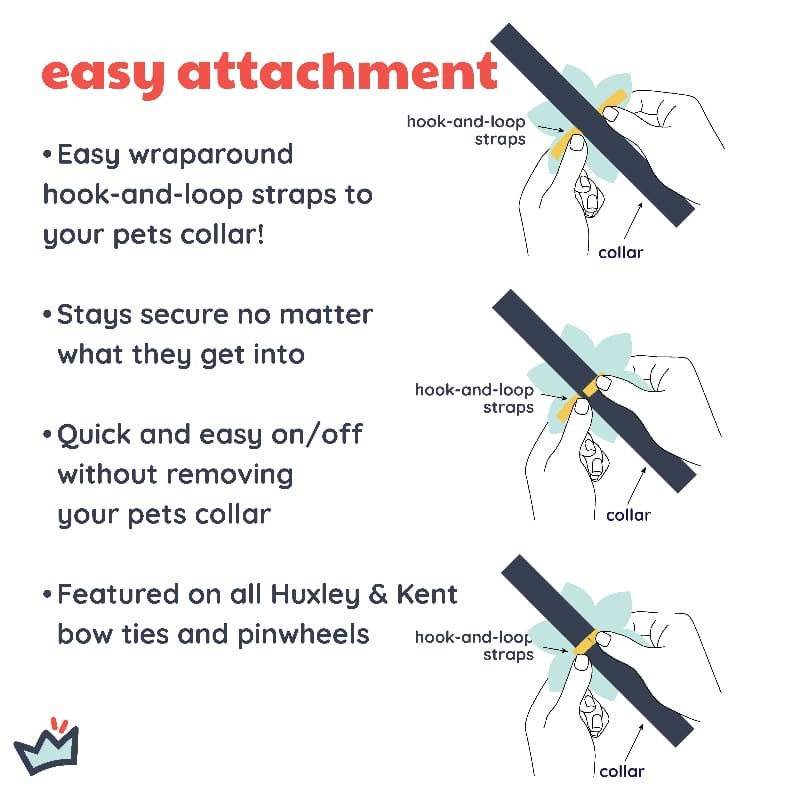 Pet collar pinwheel attachment with hook-and-loop wrap straps, quick on/off