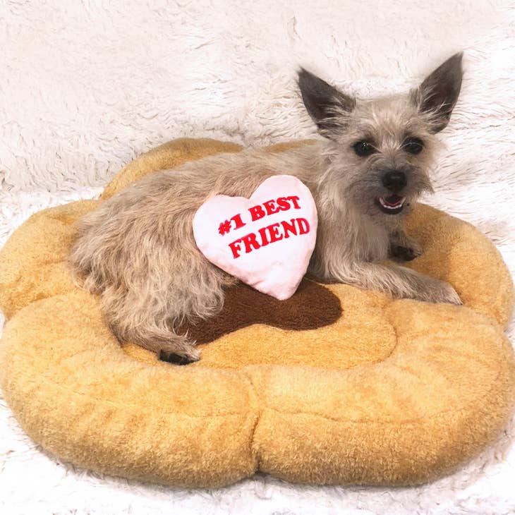 Paw-shaped plush pet bed with crinkle heart toy; small dog lying on it