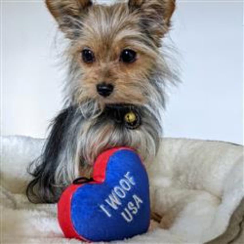 Blue heart plush squeaky dog toy with stitched text "I WOOR" and "USA"