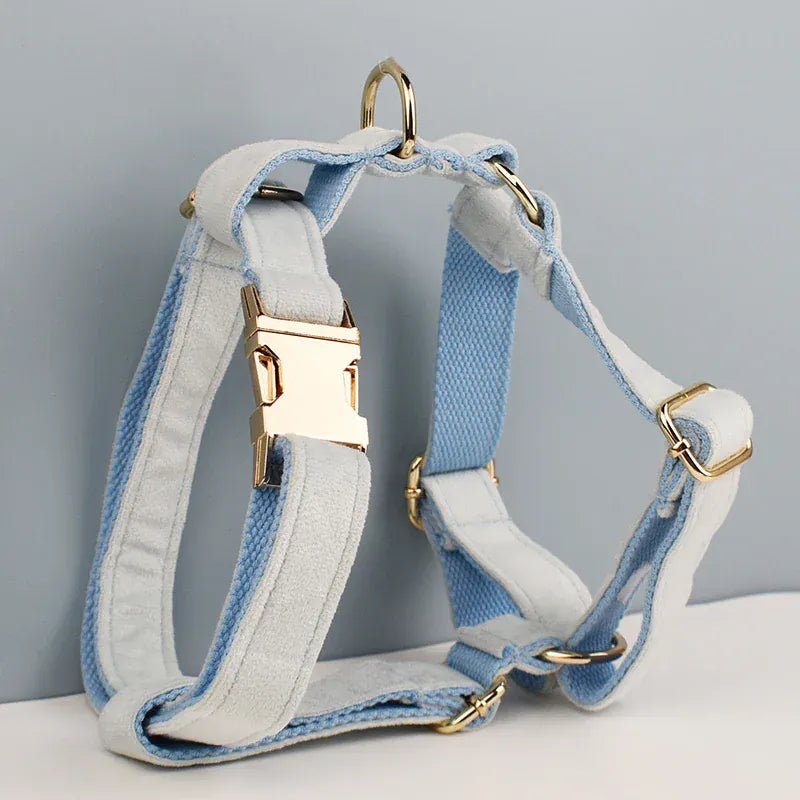 Light blue dog harness with bow tie and gold hardware plus matching straps