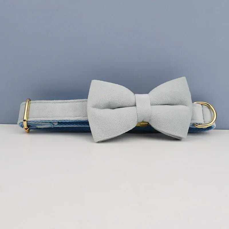 Light blue dog collar with white velvet bow tie and gold hardware buckle