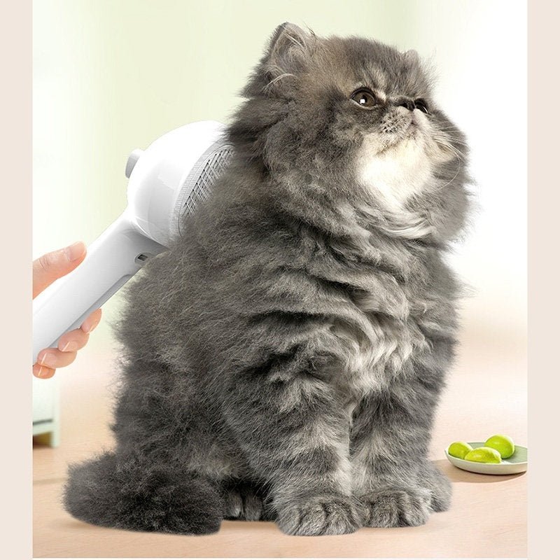 White pet grooming mist brush brushing a gray fluffy cat