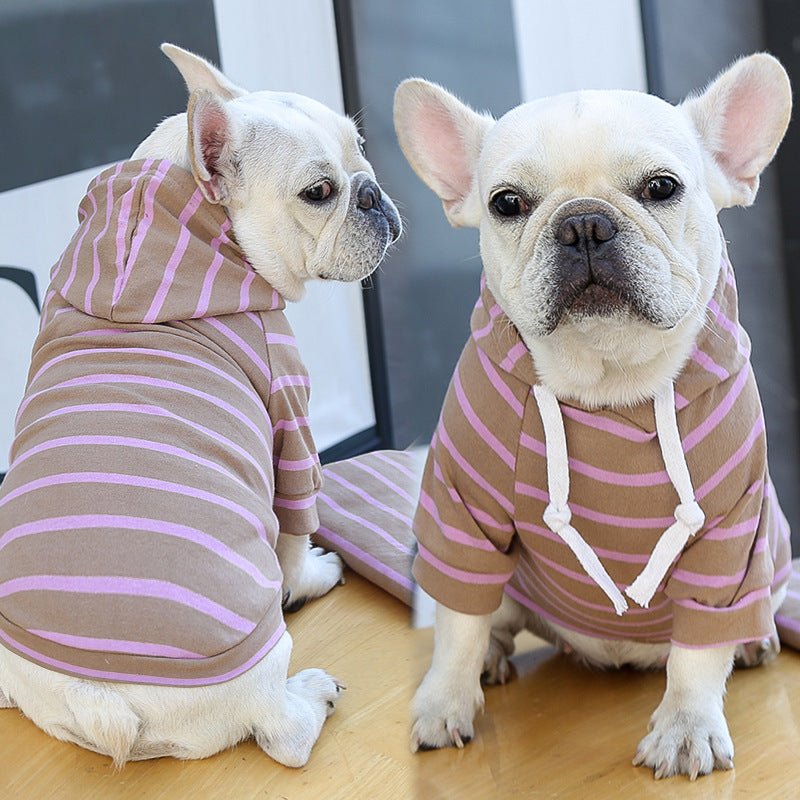 Pet hoodie with purple and pink horizontal stripes, hood with pink drawstrings and front pocket
