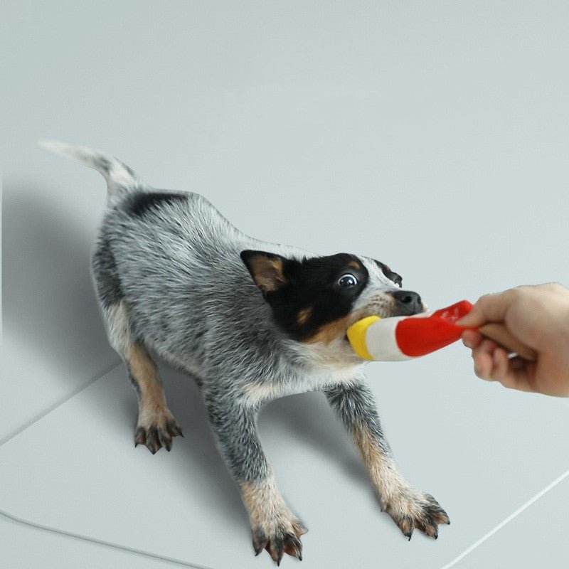 Yellow-and-red plush chew toy in a dog’s mouth