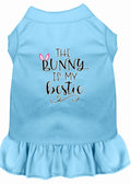 Light blue pet dress with “The Bunny Is My bestie” graphic and ruffled skirt