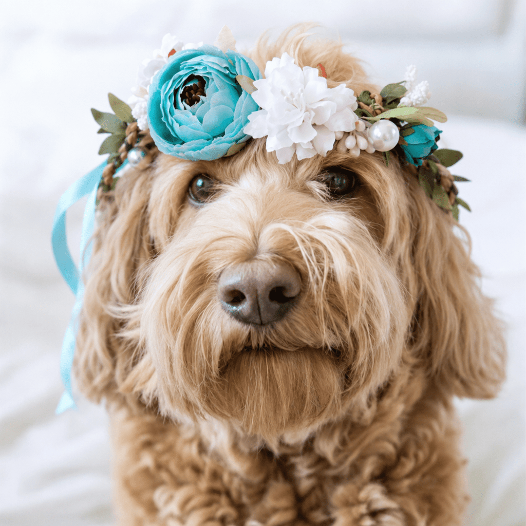 Pet Floral Crown Headpiece Bride Wedding Fursace Luxury Dog Plush Toy - Pink Red Squeaky | Cookies Wagging Friends Boutique Cookies Wagging Friends Boutique