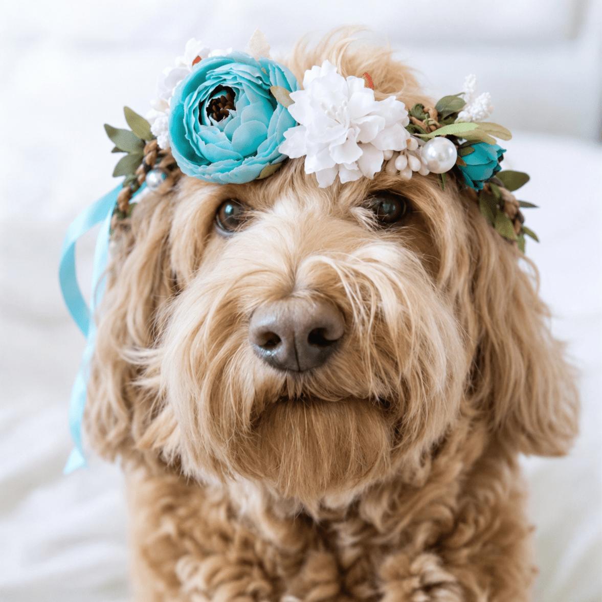 Pet Floral Crown Headpiece Bride Wedding Fursace Luxury Dog Plush Toy - Pink Red Squeaky | Cookies Wagging Friends Boutique Cookies Wagging Friends Boutique