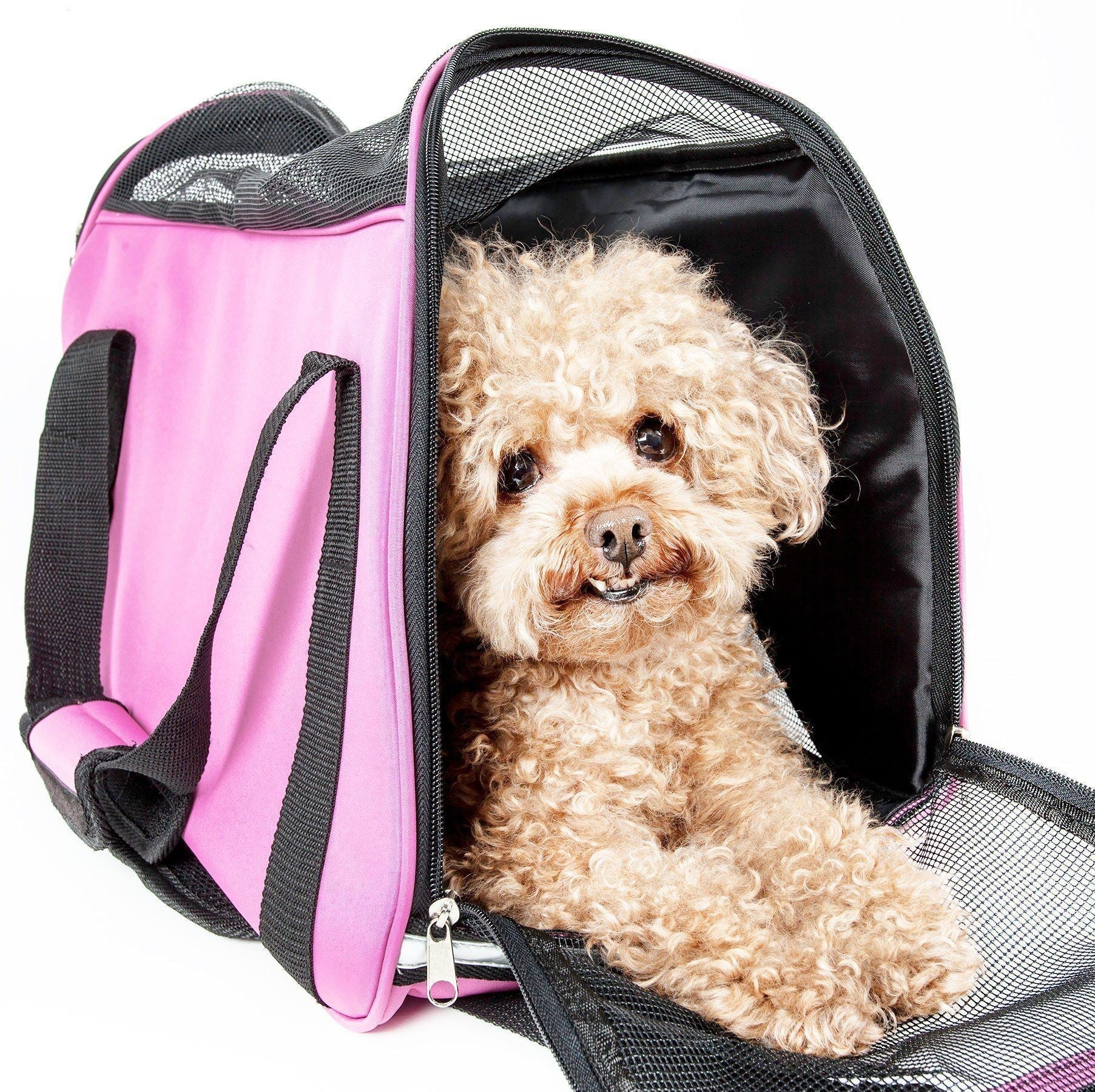 Pink pet dog carrier with black mesh front panel and front zipper opening
