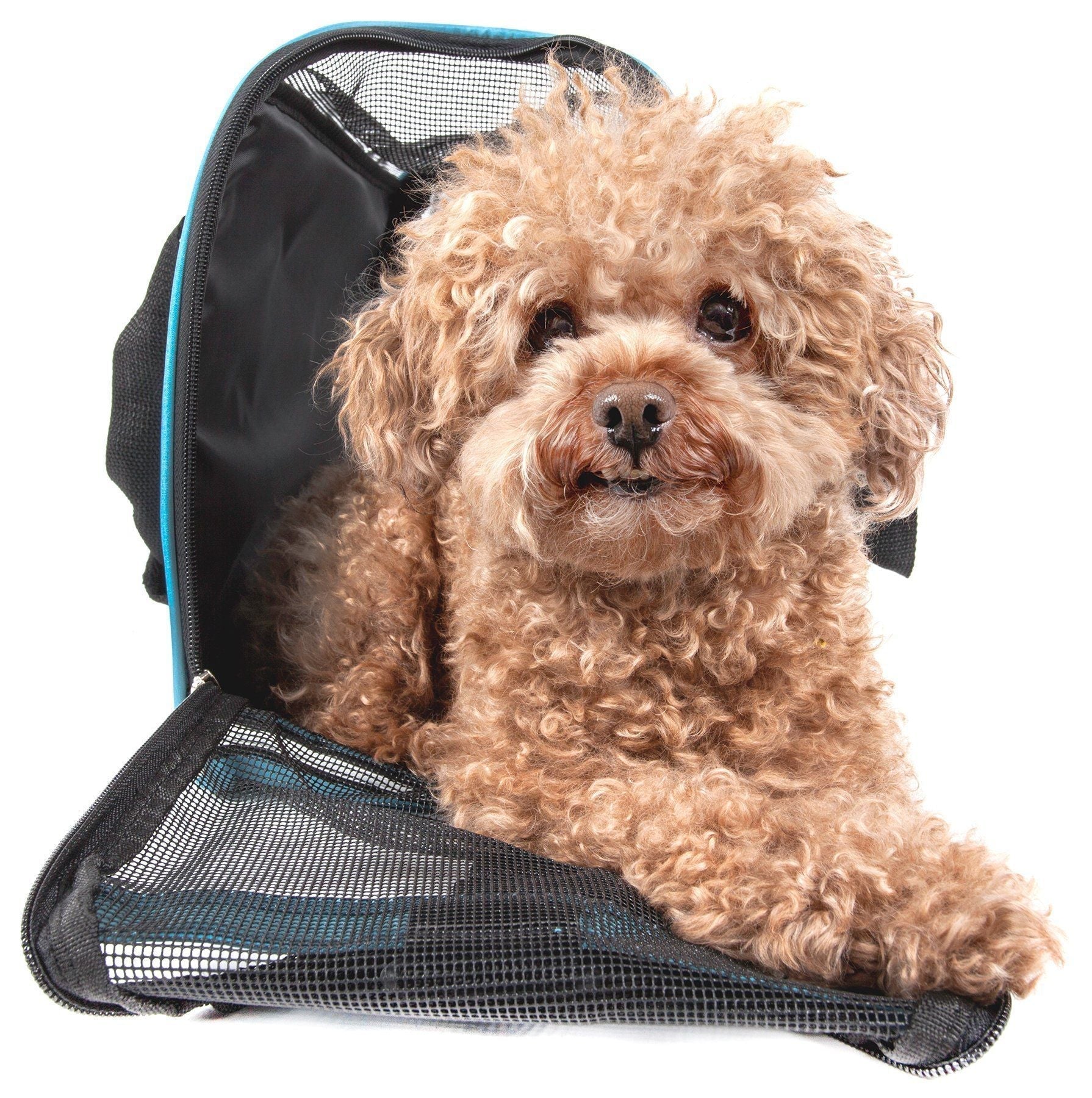 Blue pet dog carrier with black side mesh window and zipper opening for pets