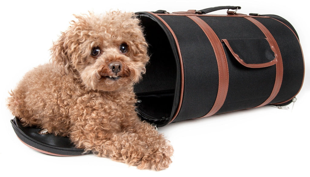 Cylindrical pet dog carrier with black fabric and brown leather trim, open entry for pet