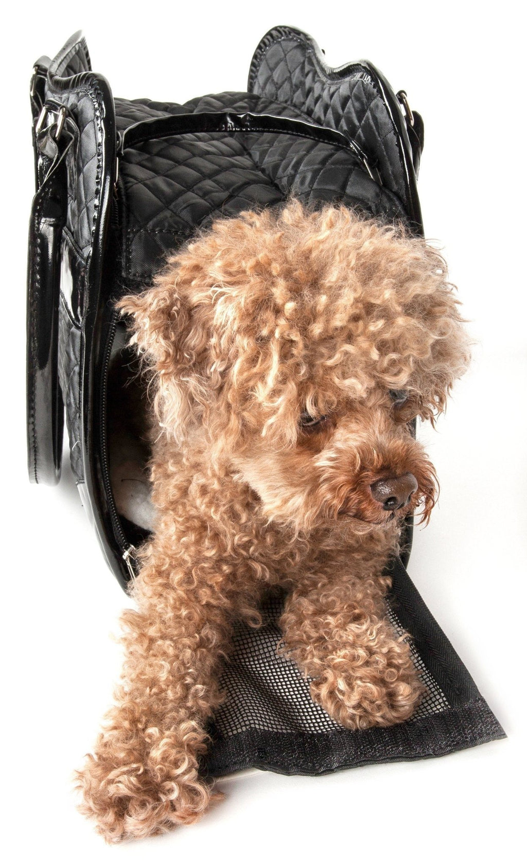 Pet travel dog handbag carrier in black quilted fabric with mesh front, small dog