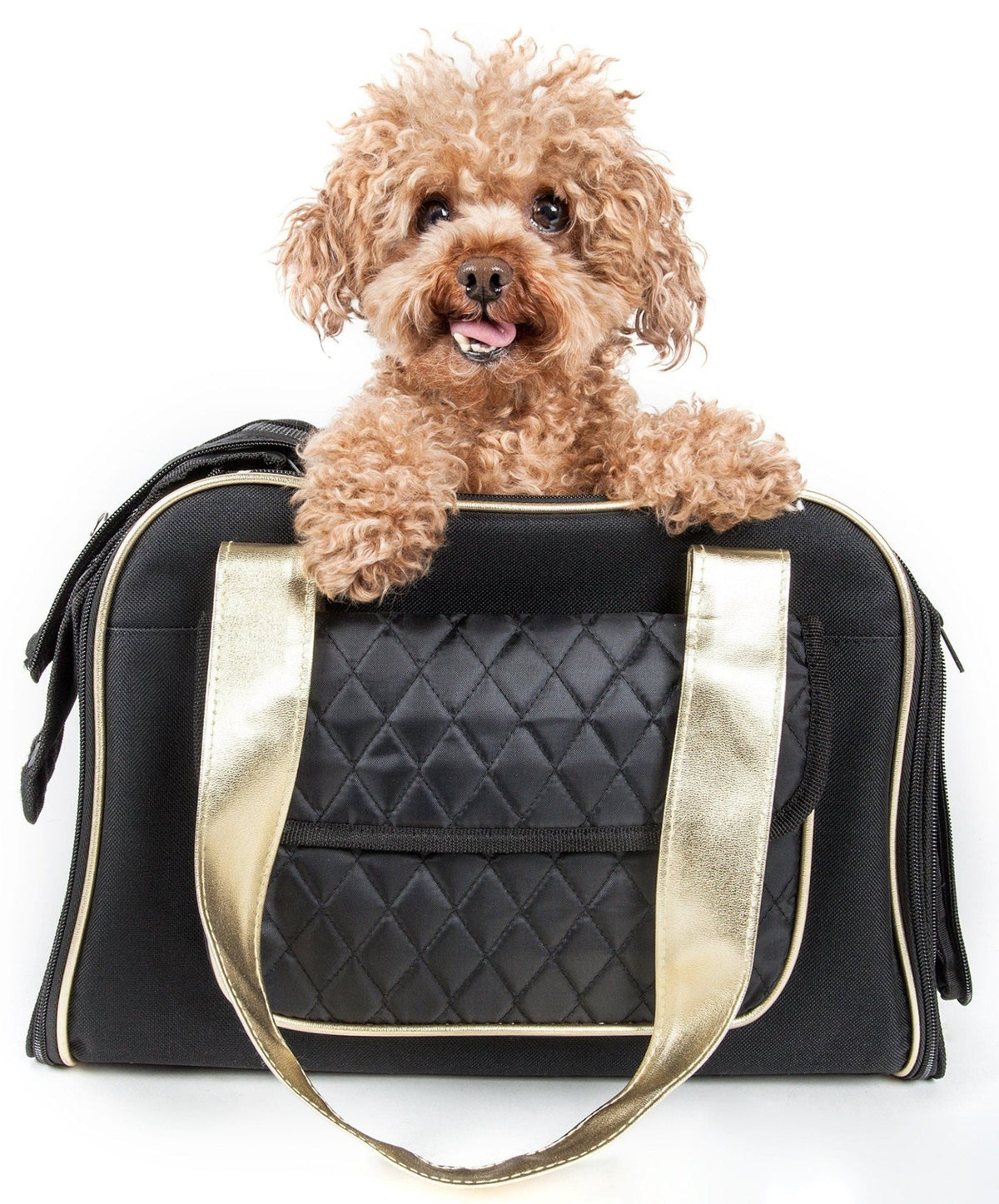 Pet Life ® Mystique Airline Approved Fashion Designer Travel Pet Dog Carrier w/ Pouch Fursace Luxury Dog Plush Toy - Black Red Squeaky | Cookies Wagging Friends Boutique Cookies Wagging Friends Boutique