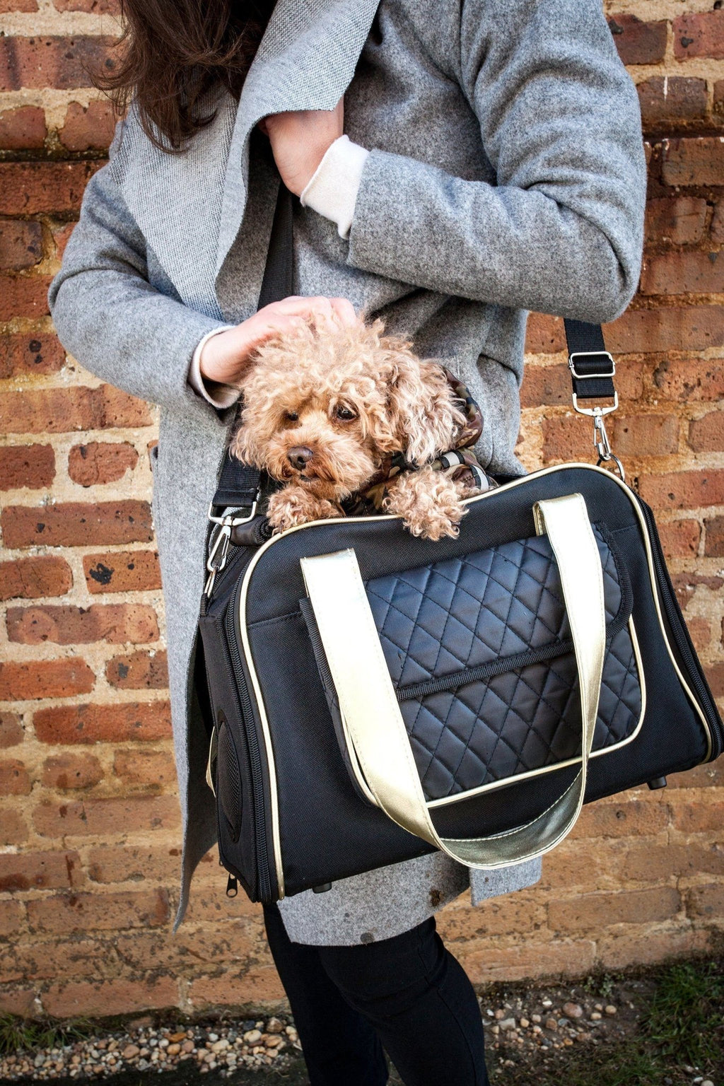 Black travel pet dog carrier with quilted panel, tan strap accents, dog being carried