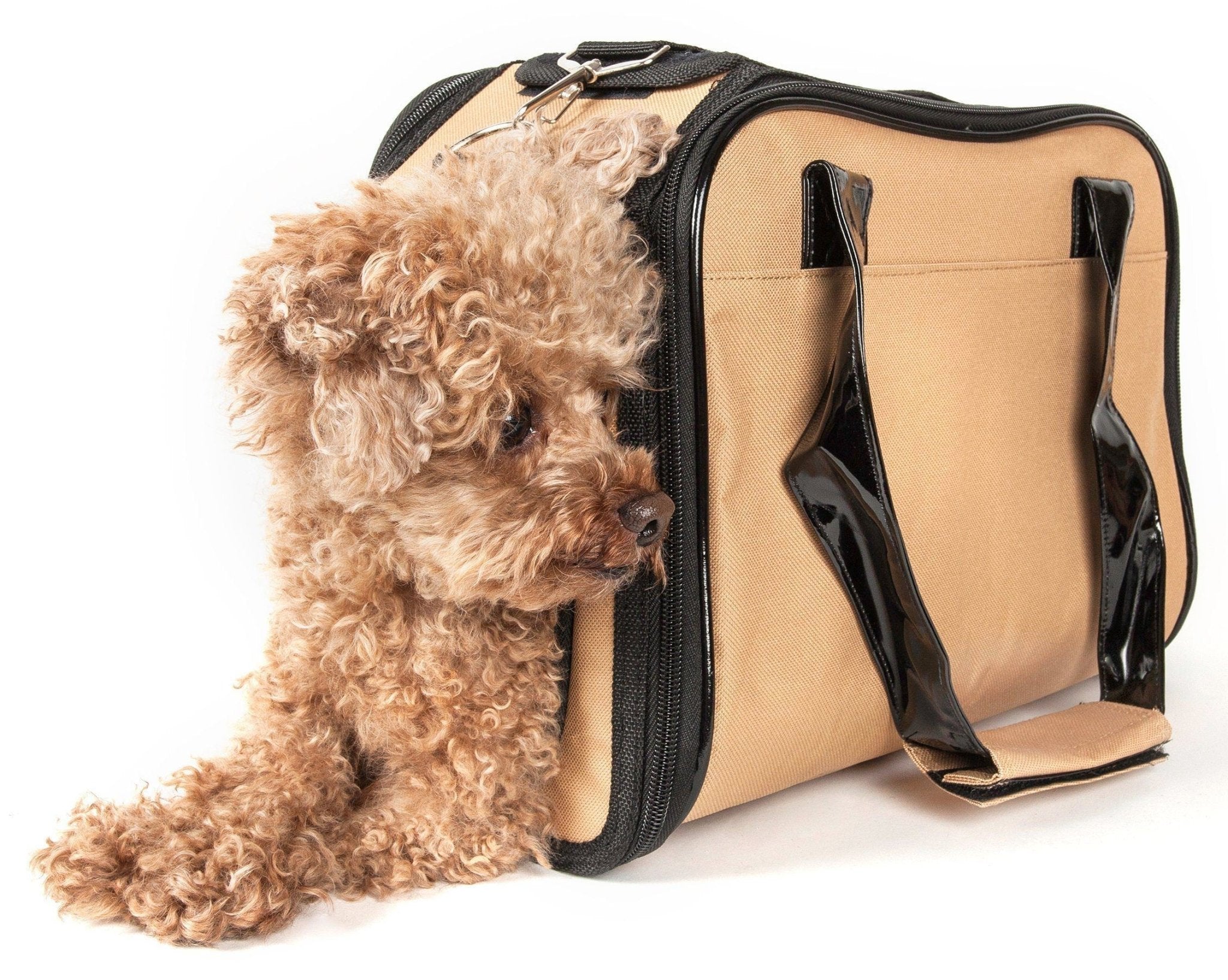 Khaki pet dog carrier with black mesh panels and top opening, dog resting inside
