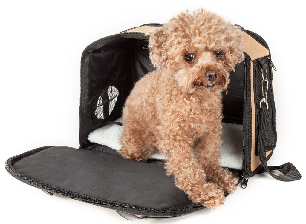 Black dog carrier with open top and cushioned base, front mesh window pouch