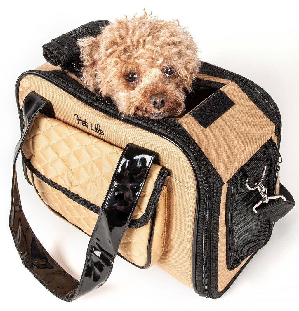 Khaki travel pet dog carrier with black trim, front pouch, dog inside