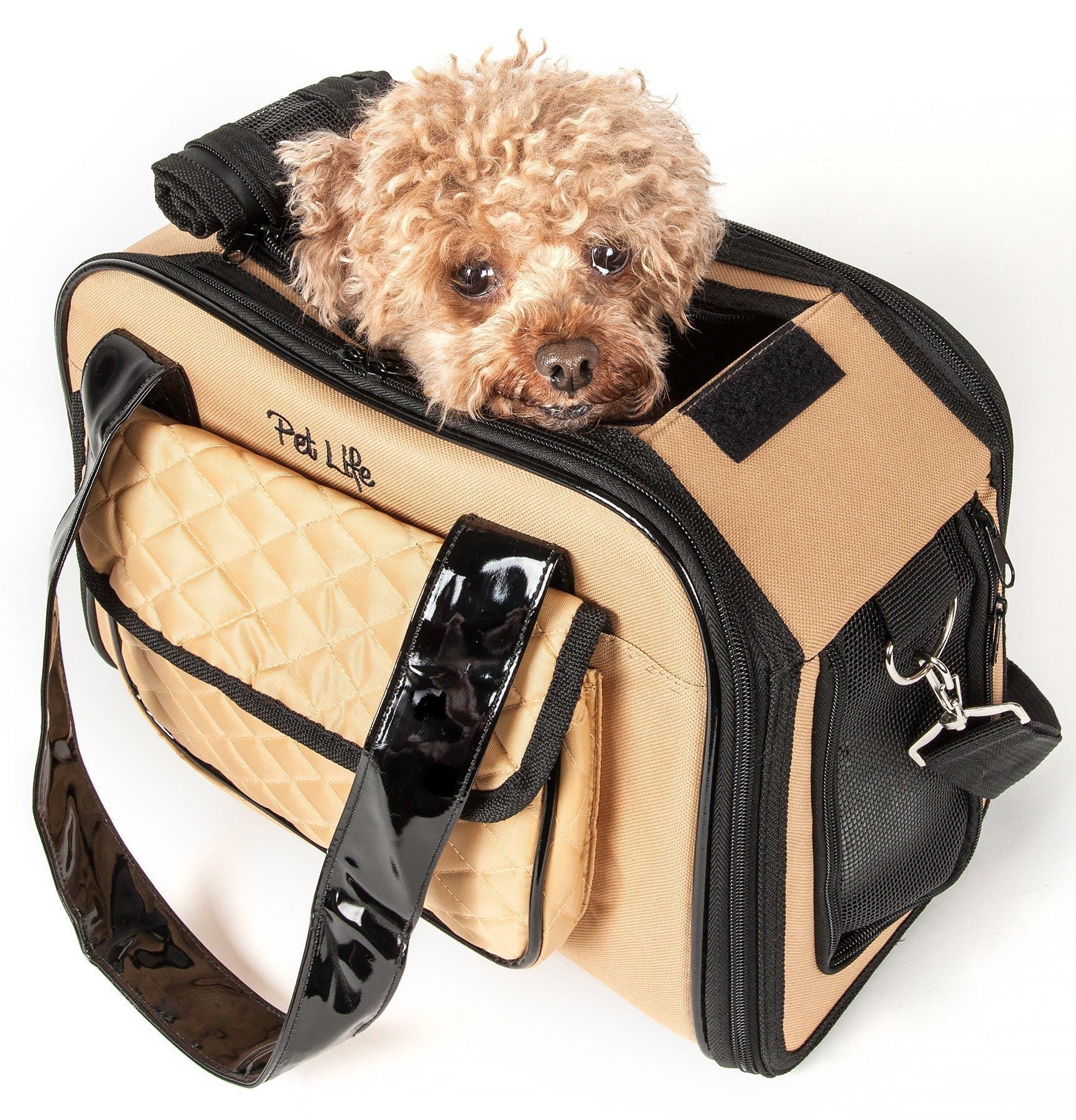 Khaki travel pet dog carrier with black trim, front pouch, dog inside