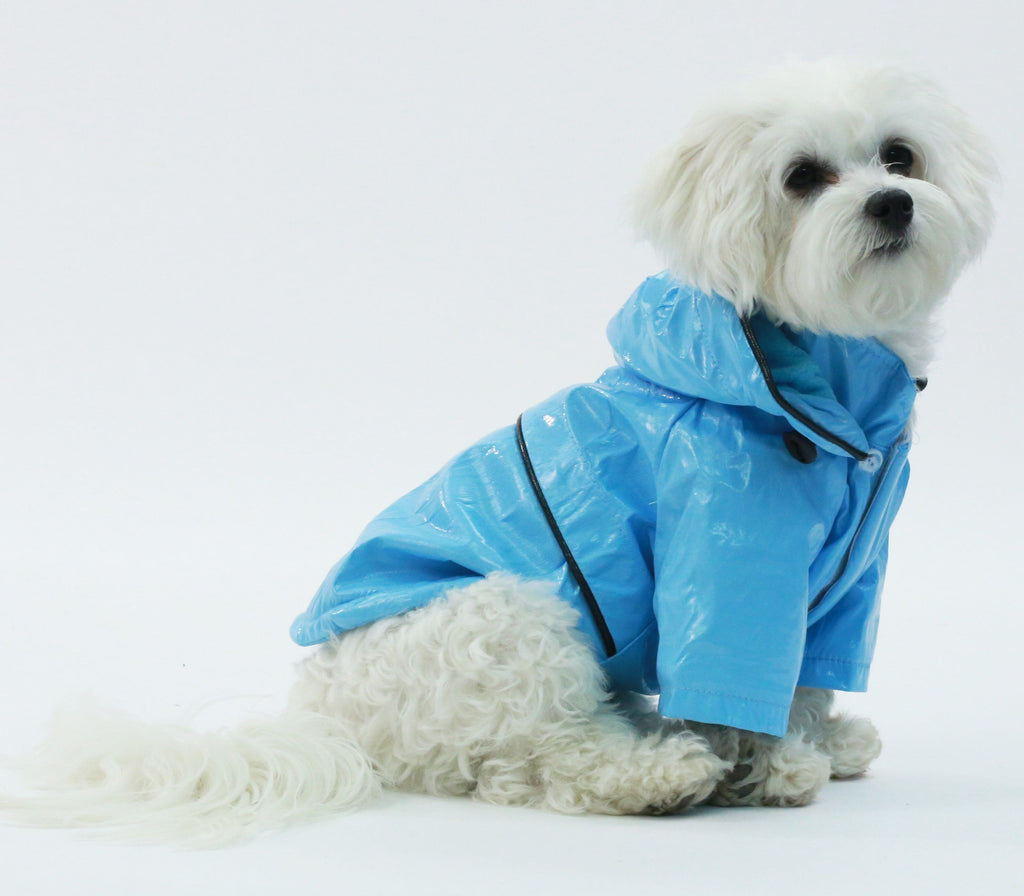{{product_title}} - Cookies Wagging Friends Boutique