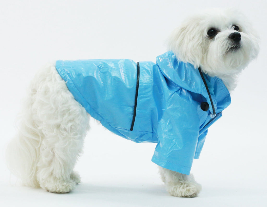 {{product_title}} - Cookies Wagging Friends Boutique