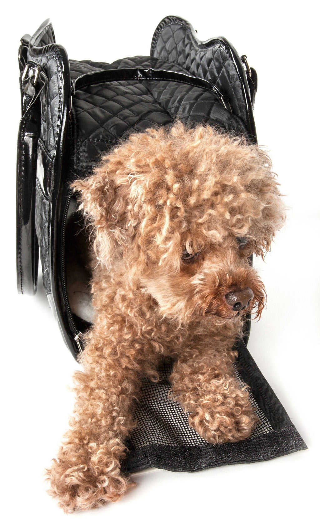 {{product_title}} - Cookies Wagging Friends Boutique
